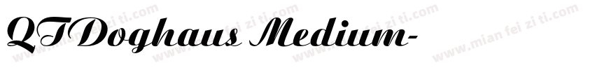 QTDoghaus Medium字体转换